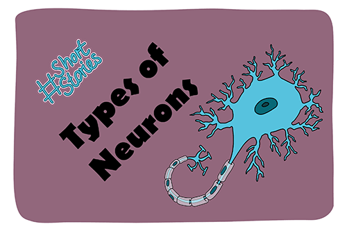 psychosoph Comic 005 Types of Neurons Thumbnail